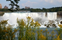 This shot of the American Falls was taken from the Canadian side. Summery flowers in just the right spot